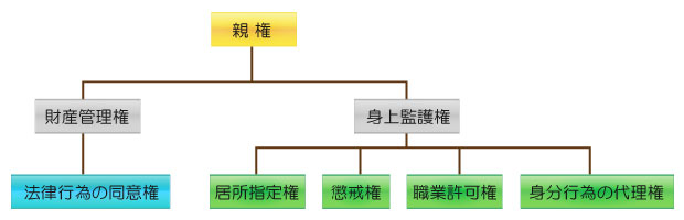 親権に含まれる権利